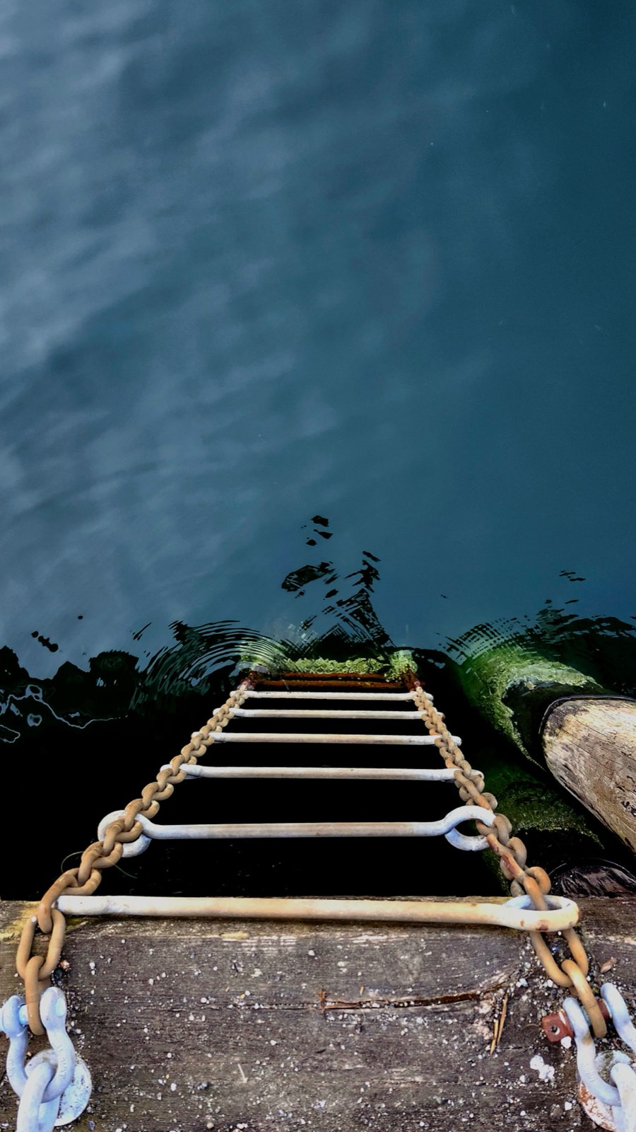 A rope ladder descending into deep blue water